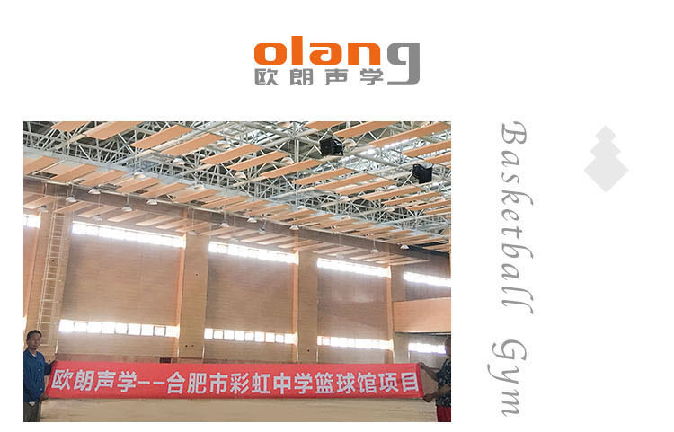合肥彩虹中學體育館聲學裝修竣工